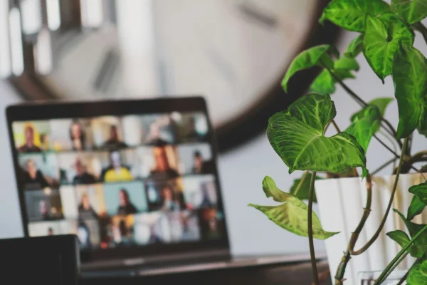 Laptop met een galerij van online deelnemers in beeld, op een bureau met een plant ernaast.