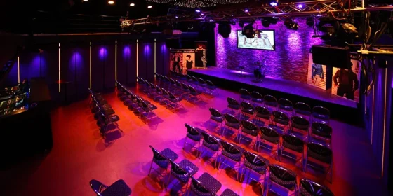 Theaterzaal in paars en rood licht met rijen stoelen richting het podium.