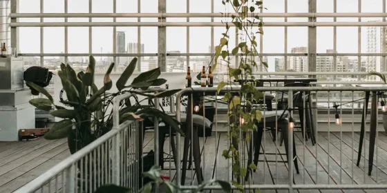 Werkplekken met hoge tafels en planten voor grote stalen ramen.